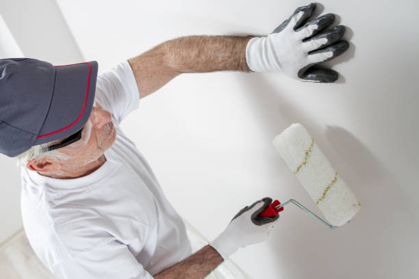 Environmental Consulting for Mold Prevention in Gillette, WY