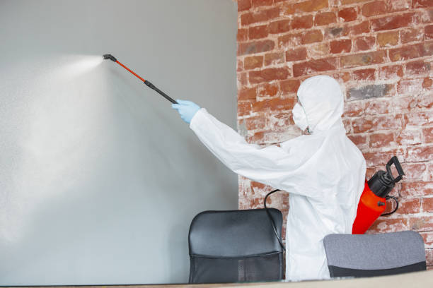 Professional Mold Removal in Gillette, WY