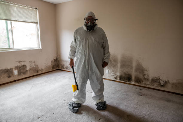 Mold Documentation for Insurance Claims in Gillette, WY