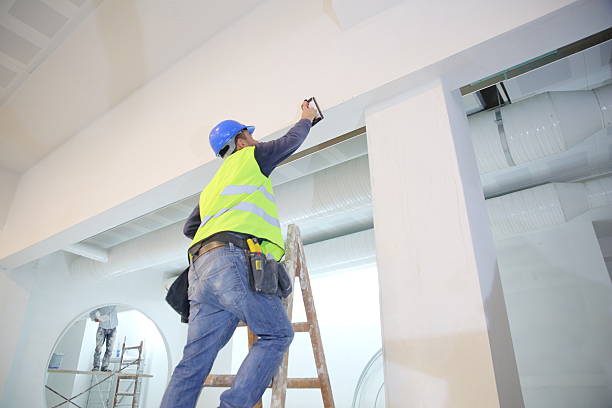 Best Attic Mold Removal  in Gillette, WY