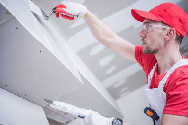 Best Comprehensive Air Testing for Mold Contaminants  in Gillette, WY